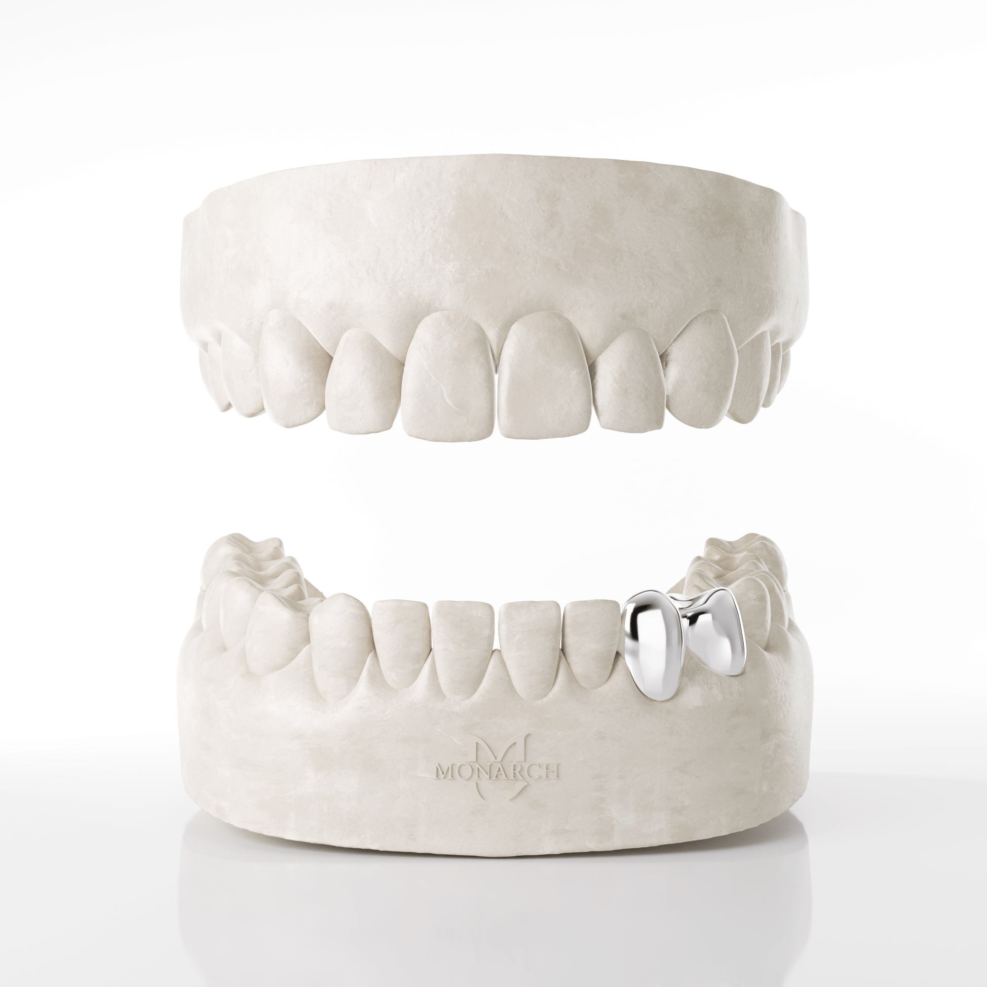Canine & Premolar Grillz (Lower Teeth)