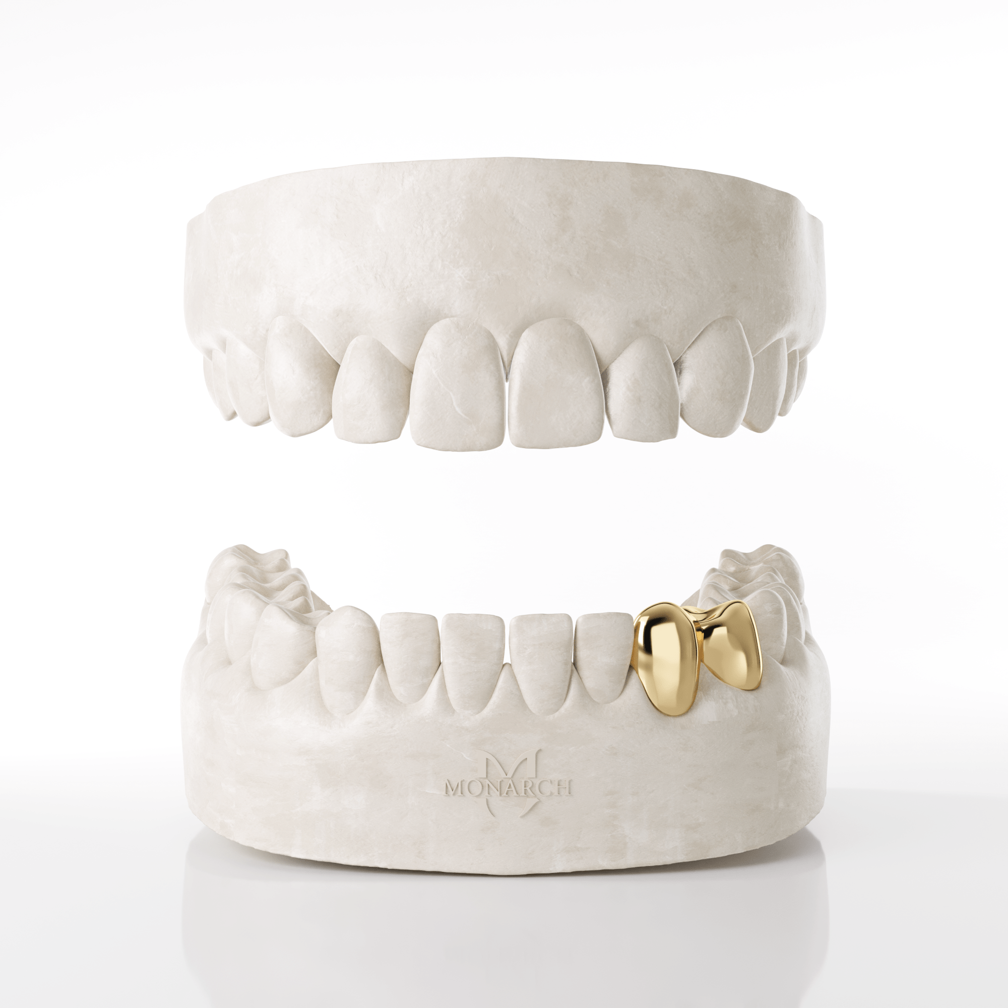 Canine & Premolar Grillz (Lower Teeth)