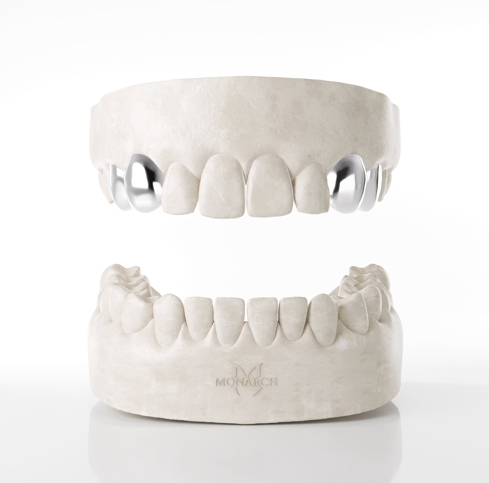 2 X Canine & Premolar (Top)