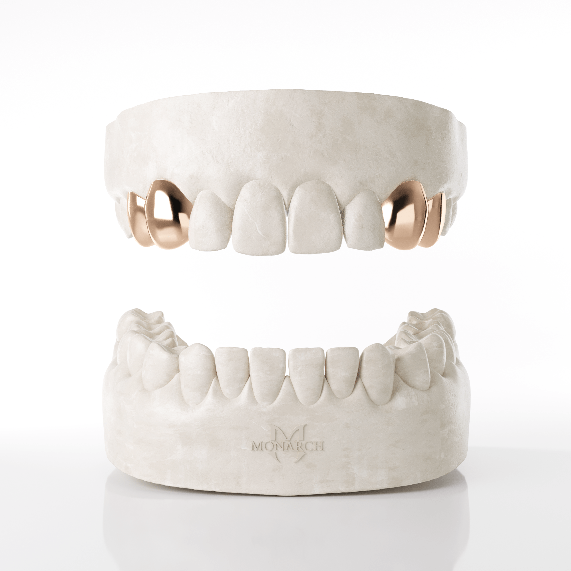 2 X Canine & Premolar (Top)