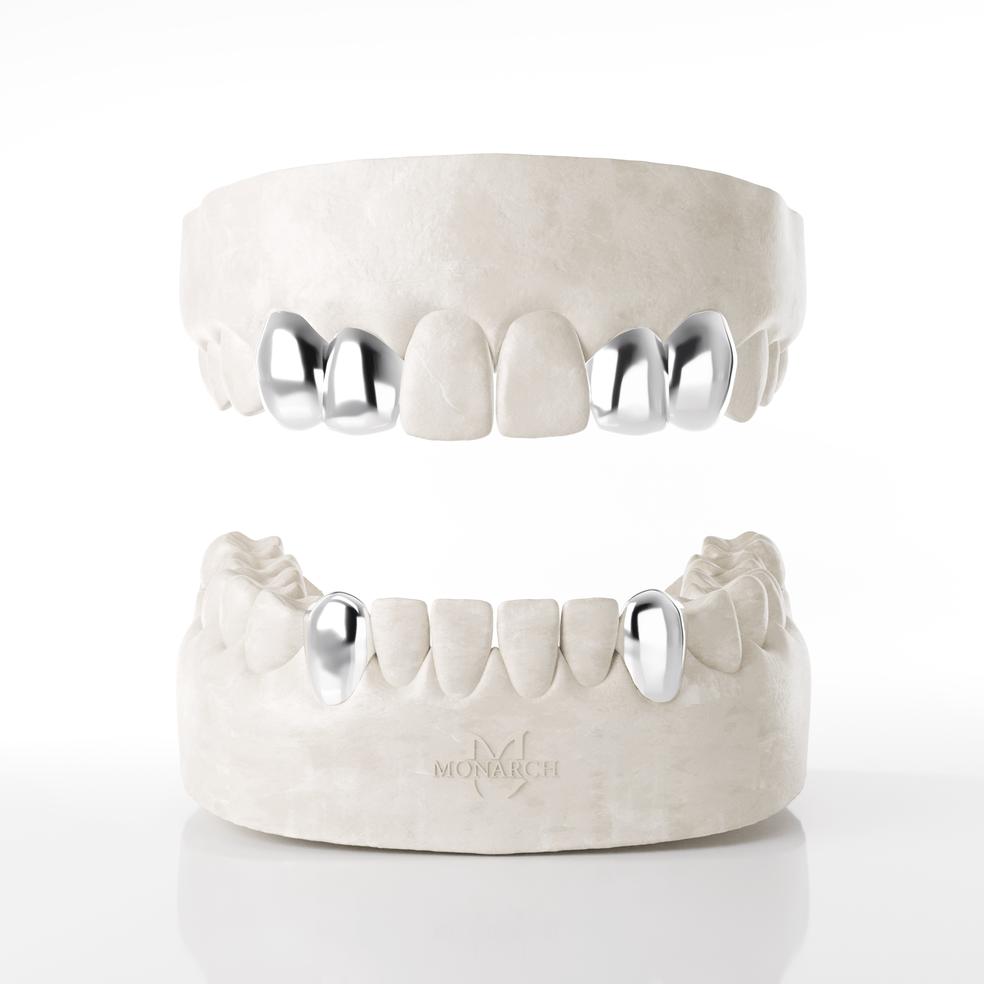 2 X Canine Lateral (Top) & Bottom Canines
