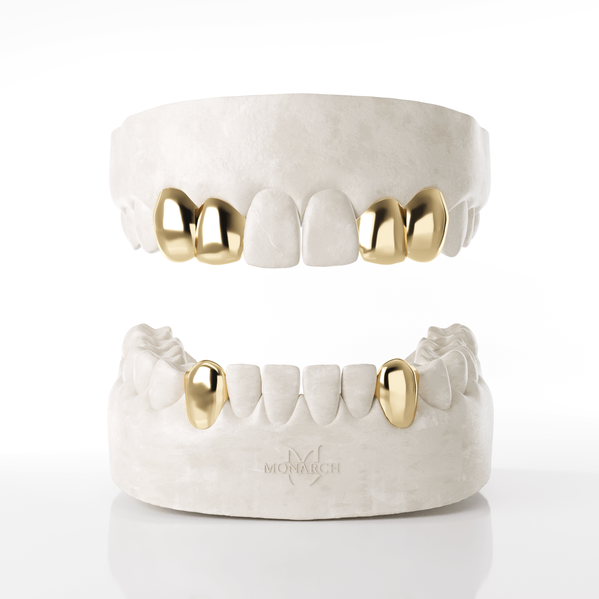 2 X Canine Lateral (Top) & Bottom Canines