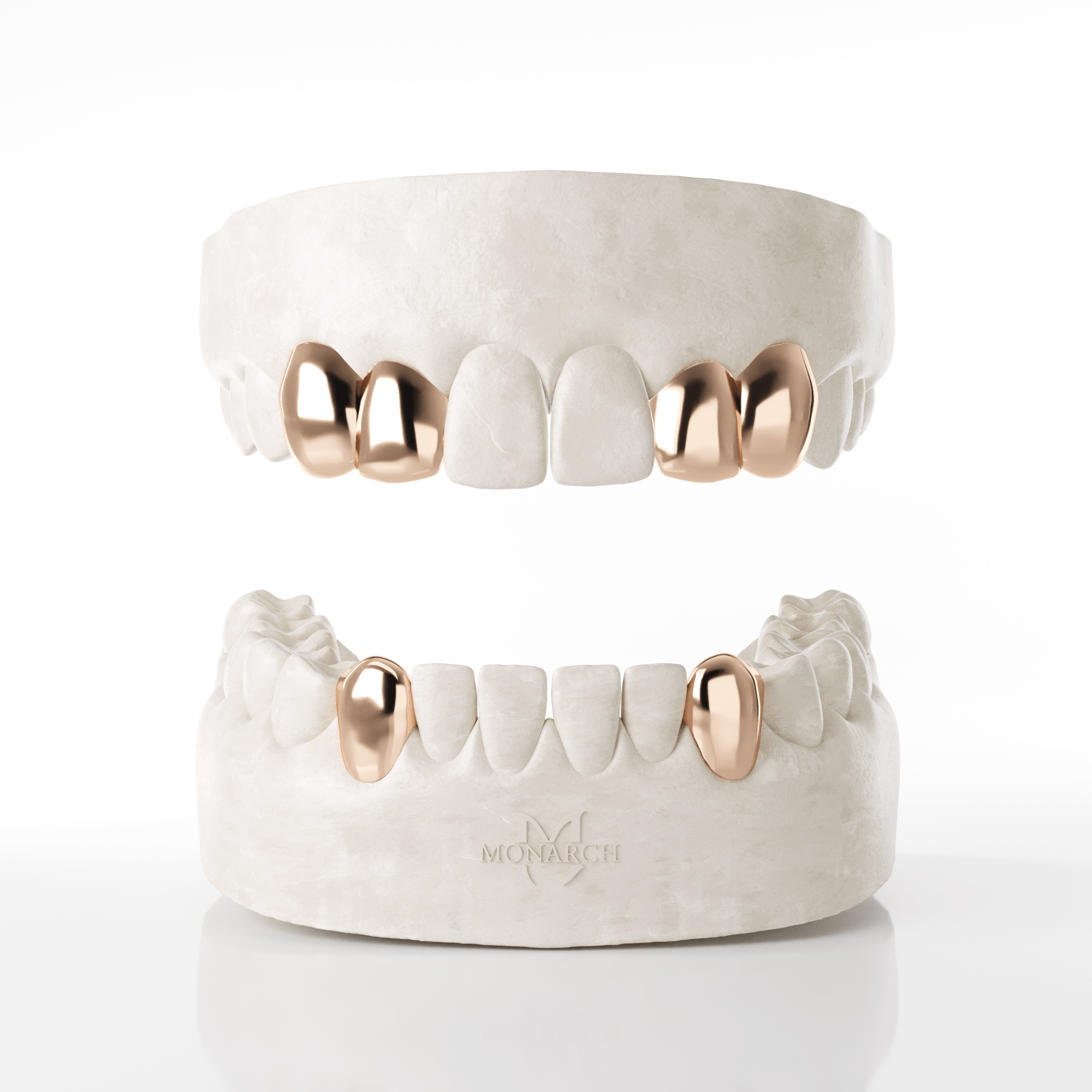 2 X Canine Lateral (Top) & Bottom Canines