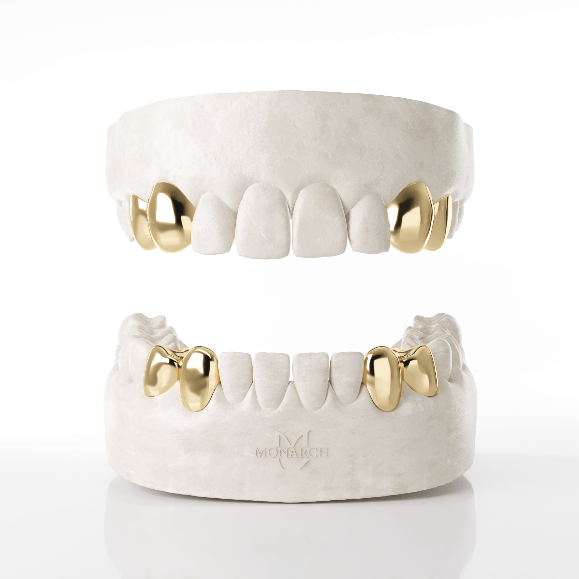 4 X canine & Premolar