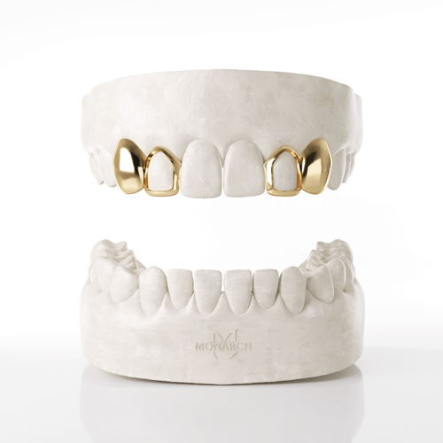 2 X Canine & Window Lateral