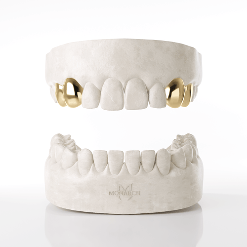 2 X Canine & Premolar (Top)