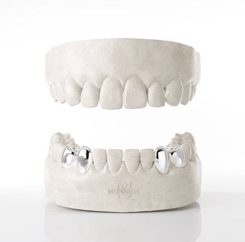 2 X Canine & Premolar (Bottom)