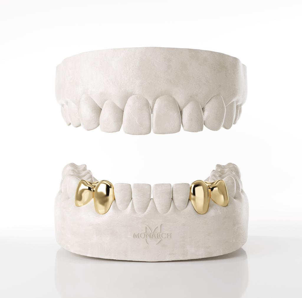 2 X Canine & Premolar (Bottom)