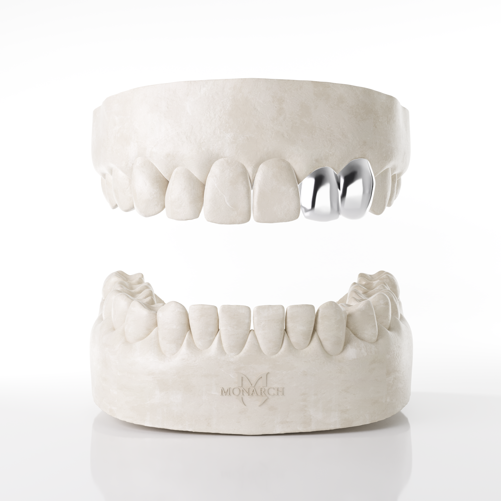 Lateral & Canine