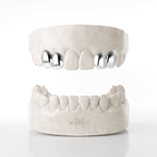 2 X Canine & Lateral