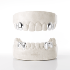 4 X canine & Premolar