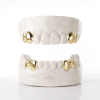 4 X canine & Premolar