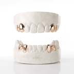 4 X canine & Premolar