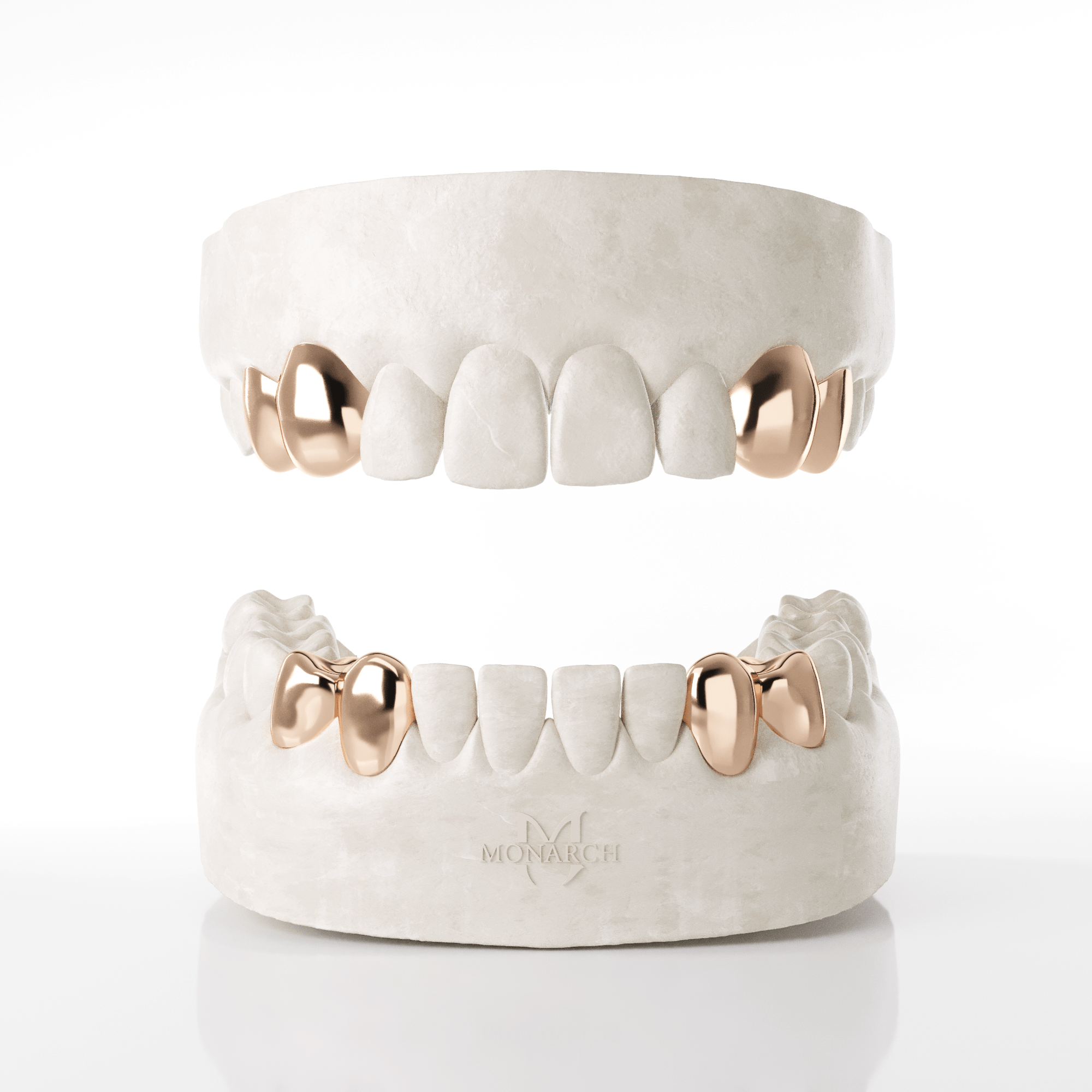 4 X canine & Premolar